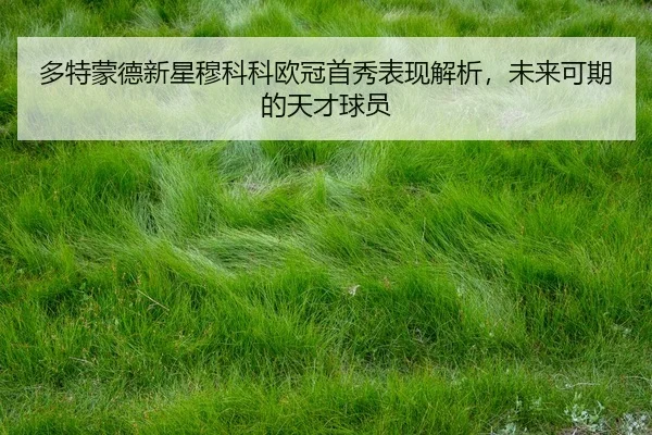 多特蒙德新星穆科科欧冠首秀表现解析，未来可期的天才球员