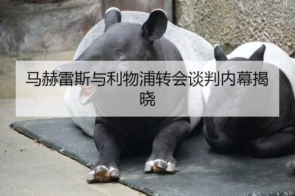 马赫雷斯与利物浦转会谈判内幕揭晓