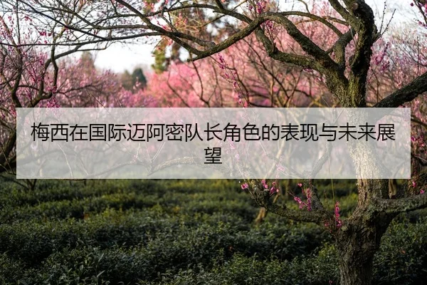 梅西在国际迈阿密队长角色的表现与未来展望